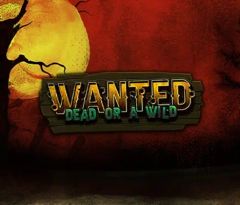 Wanted Dead or a Wild